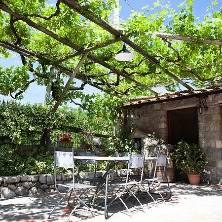 住宿加早餐酒店 Il Giardino Delle Noci 维克艾库塞